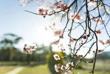 Why the coming of spring brings more productivity