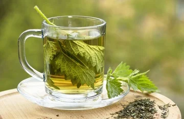 Known as the “bime of youth”, feeds, regenerates and turns collagen into skin