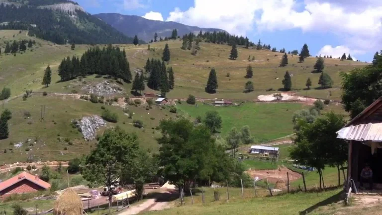 Gjendet i vdekur në një pyll personi i zhdukur në Deçan