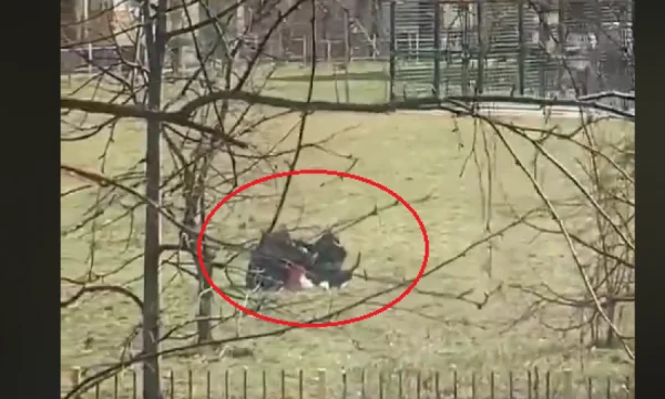 Dy të rinj konsumojnë drogë afër shkollës në Prishtinë