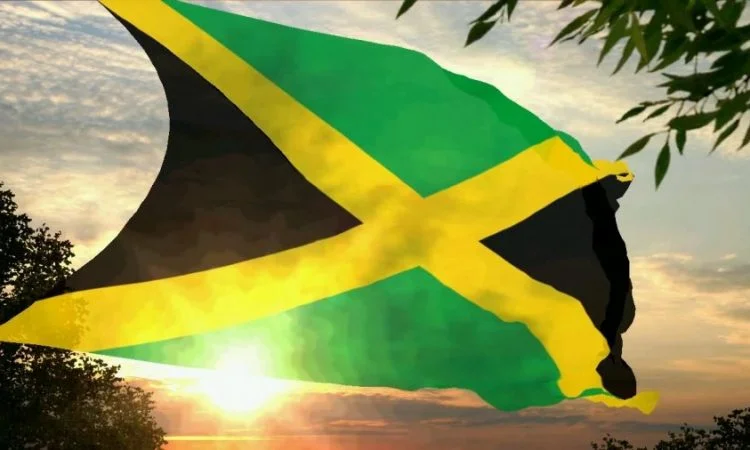 Jamaica's MP explains everything: We have made decision on Kosovo issue