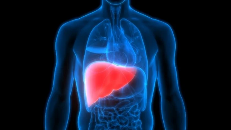 Comment nettoyer votre corps de toxines