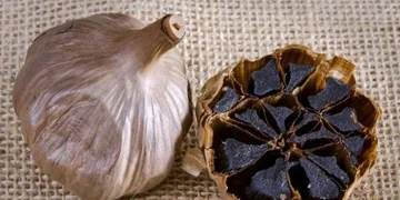 Ade nero fa bene al cuore, al cervello e all'immunità