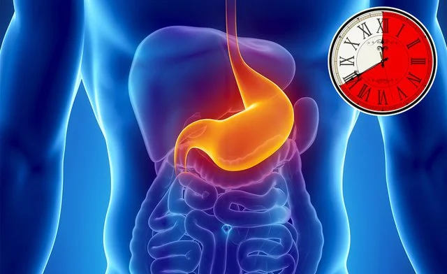 Von Gemüse bis Fleisch hier ist, wie viele Minuten es jede Nahrung zu verdauen (Foto)