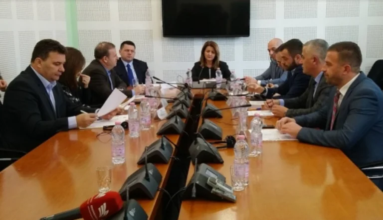 Security and Defence Affairs Commission Constitutes Fatmire Kolcak
