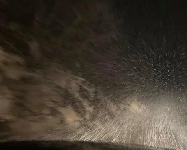 Inizia a neve in questa città del Kosovo