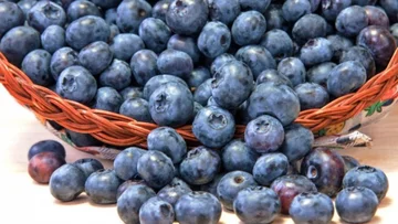 Boronica è il frutto più sano del mondo, ecco perché