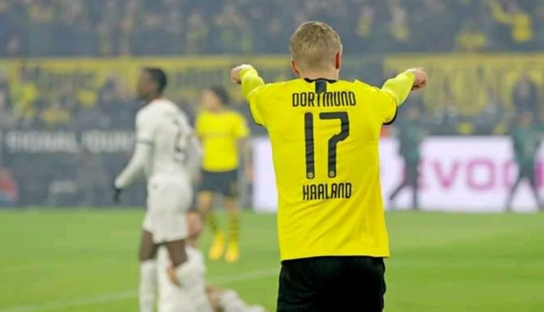 Haland's brilliant response when the reporter asks him how talented you are after tonight's match.