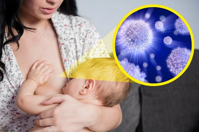 Speak doctors: “You only have to feed children with breast milk” You and your child will benefit