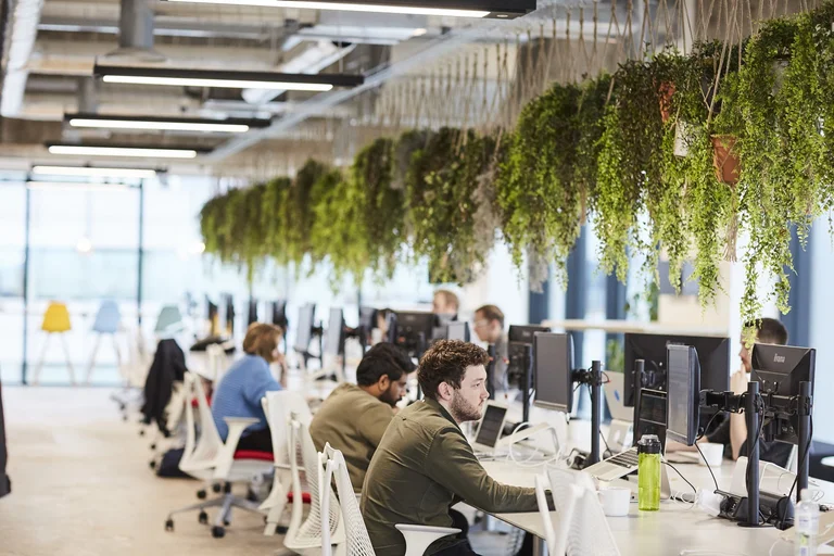Mantener las plantas en la mesa de trabajo reduce el estrés