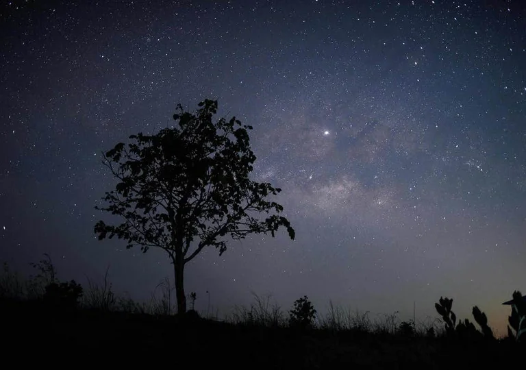 Independiente: señales de radio desde el espacio, los alienígenas envían mensajes al suelo.