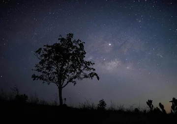 Independiente: señales de radio desde el espacio, los alienígenas envían mensajes al suelo.