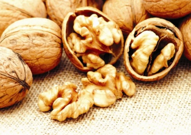 Consume nuts to not grow old fast