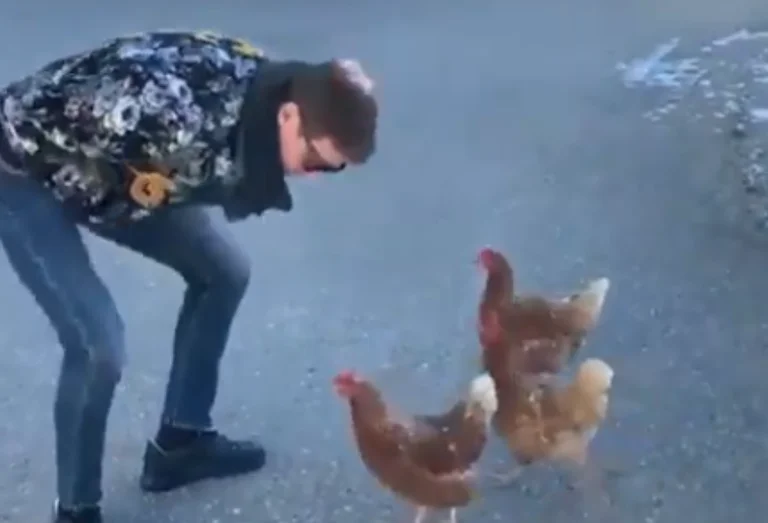 Thomas Mueller talking to chicken is the most interesting thing you've seen today all day