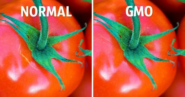 3 Modi semplici per distinguere gli alimenti biologici dalla salute - quelli nocivi