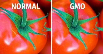 3 Simple Ways to distinguish organic foods from health - harmful ones