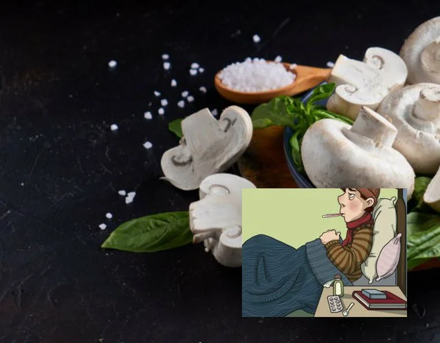 Quitt teure Medikamente, um Ihr Immunsystem zu stärken, und Sie müssen nur dieses Essen essen