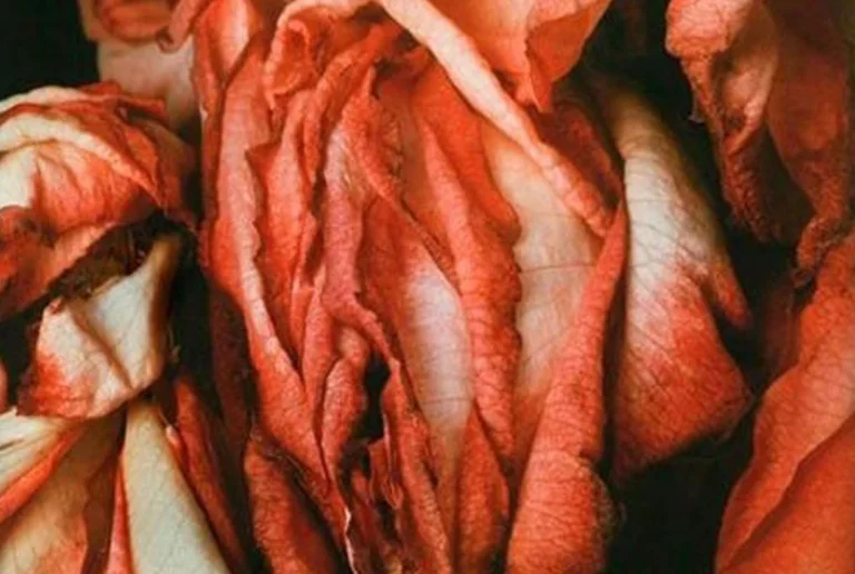 Normal vagina signs: Why there's no place to worry