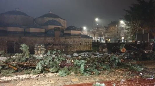 Erëra të forta në Prizren, rrëzojnë pishat