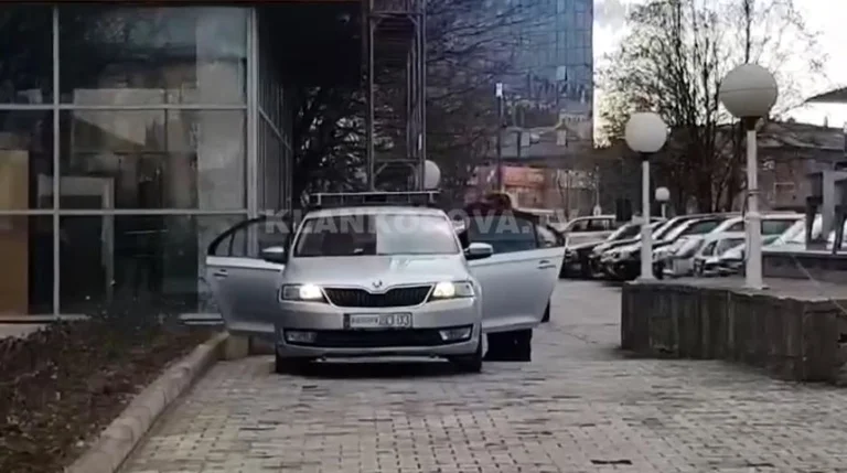 Momenti kur Policia arreston një femër te Kuvendi i Kosovës (Video)