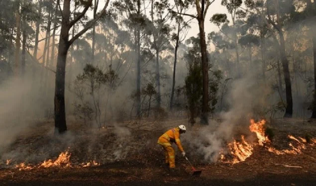 Australi: Dhjetëra shtëpi të djegura gjatë natës, situata është më e mirë sot