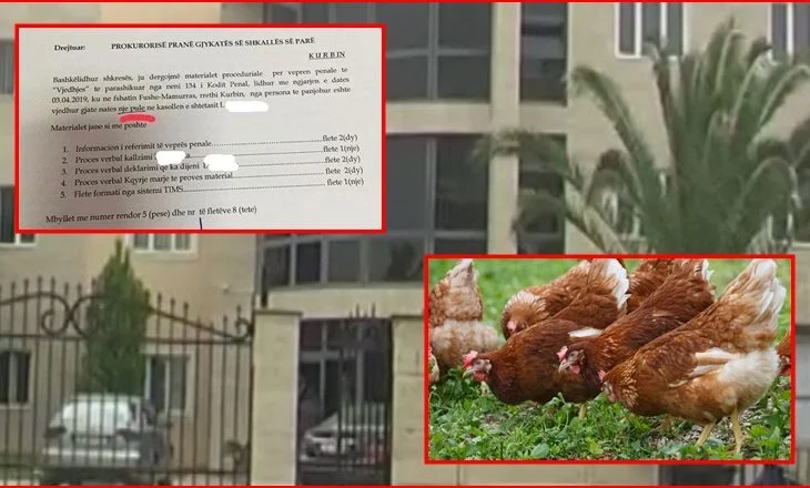 Policia në kërkim të hajnave të pulave