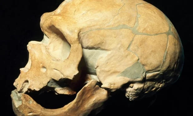 Estábamos cerca: la ciencia confirma que los Neanderthals incluso se habían aliado con las poblaciones africanas