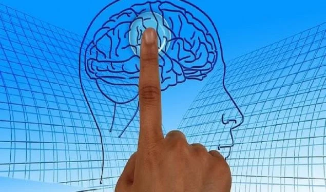 Man's organs do not age at the same time