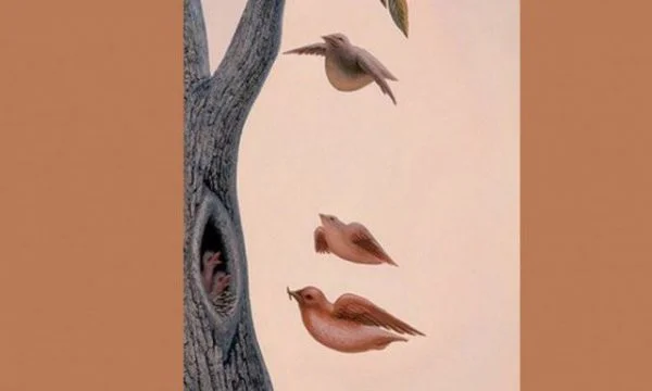 Kjo foto nuk është e thjeshtë sa duket, imazhi i parë që e shihni flet shumë për ju