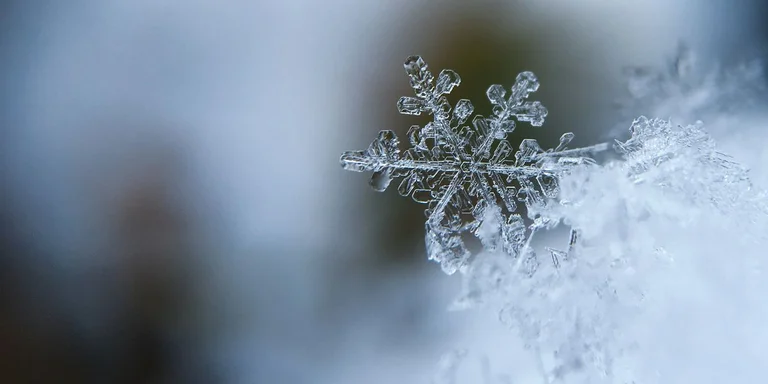 Was die letzten Januartage sein wird, erzählt IHMK, ob es Schnee wird