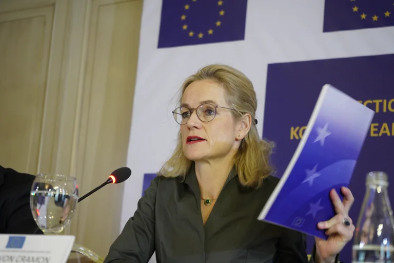 EU observers assess elections were transparent
