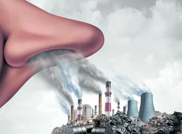 With this vitamin, you can soften the effects of polluted air
