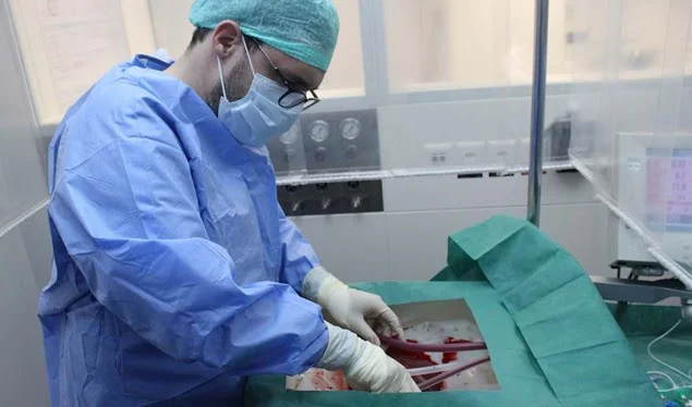 Shpiket makina që mban mëlçinë të gjallë deri në shtatë ditë