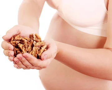 Le noci dovrebbero essere mangiate durante la gravidanza, come influiscono sullo sviluppo del feto?