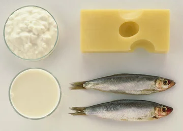 Fish and dairy combinations or myth? What the Truth Is Like