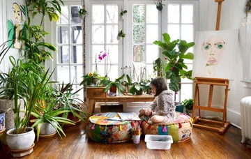 Homes where you shouldn't keep flowers during winter