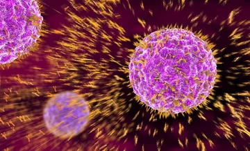 A mysterious virus unknown to science is spreading, causing serious lung diseases