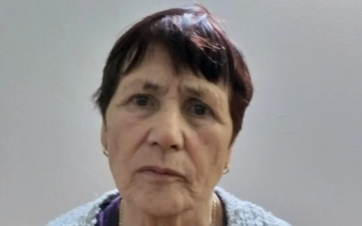 Familjarët e gjejnë gruan që kishte humbur në Prishtinë