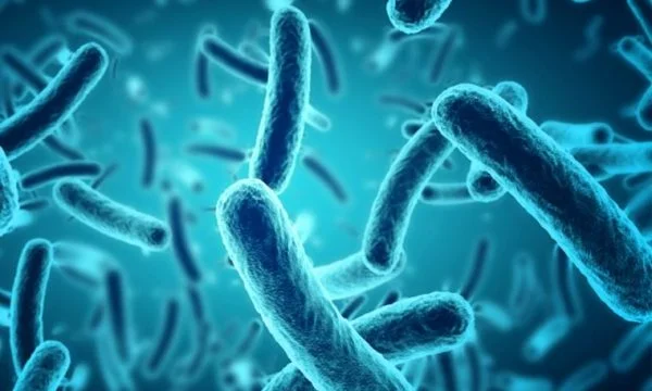 Përdorimi i dy llojeve të antibiotikëve e nxit rezistencën e bakterit