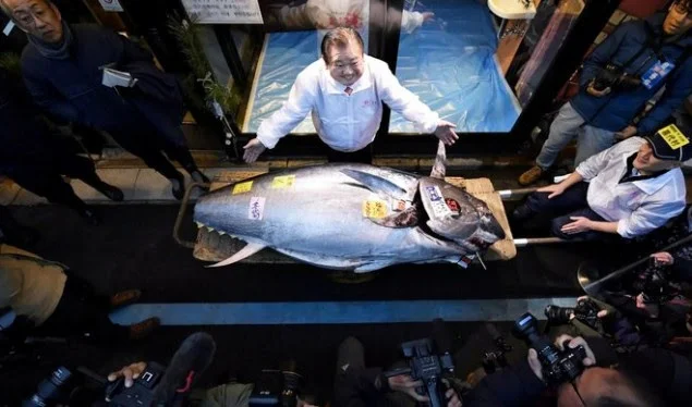 Tuna vendu pour 1,6 m€