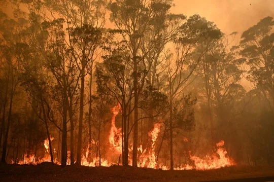Fires in Australia, popular singer donates $500,000