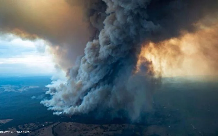 Fuoco che hanno invaso l'Australia