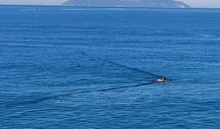 Strano: 52 anni Fieri bagni in Vlora Mare in inverno (Video)