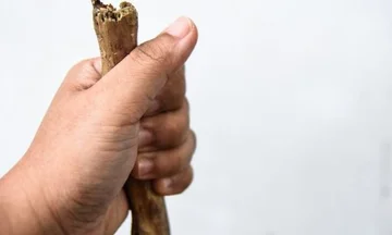 Il tuo cervello considera parti del tuo corpo gli elementi che tieni nella mano