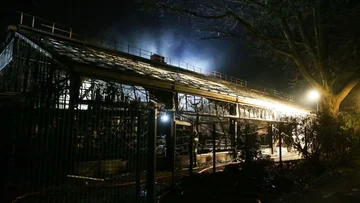 Aucun singe n'a survécu au feu du zoo
