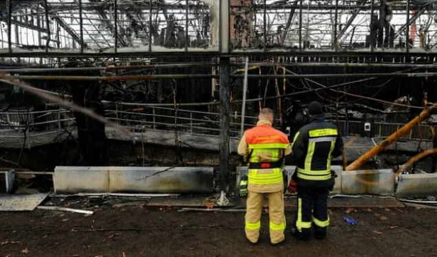 The fire in the German zoo leaves no monkey alive