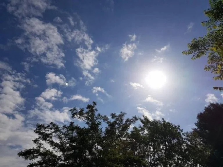 次の5日間の天気