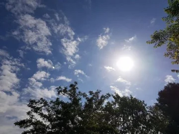 次の5日間の天気
