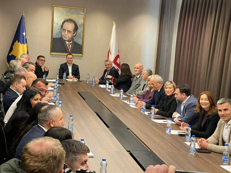 LDK meets this afternoon to decide about joining Vjosa Osman