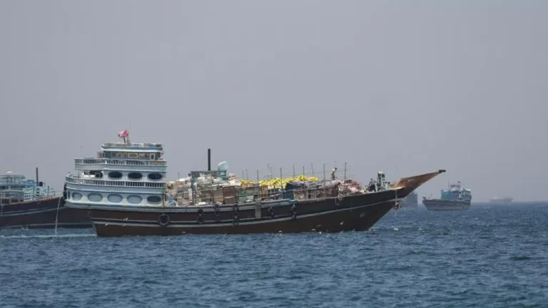 What is Trump Freedom Project on Hormuz Strait?